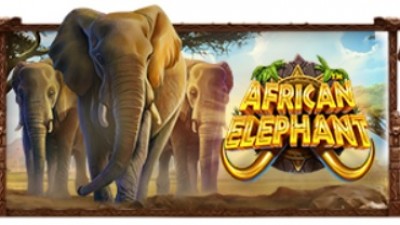 African Elephant™